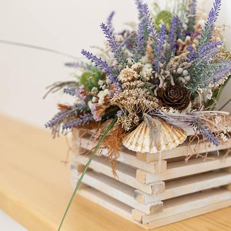 诺维·维诺多尔斯基Old Beauty公寓 外观 照片
